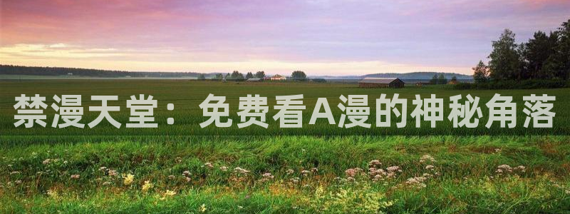 樱花动漫入口：禁漫天堂：免费看A漫的神秘角落