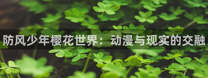 omofun在线观看免费动漫：防风少年樱花世界：动漫与现实的交融