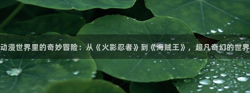 樱花动漫正版入口：动漫世界里的奇妙冒险：从《火影忍者》到《海贼王》，超凡奇幻的世界
