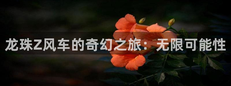 omofun轻量版：龙珠Z风车的奇幻之旅：无限可能性