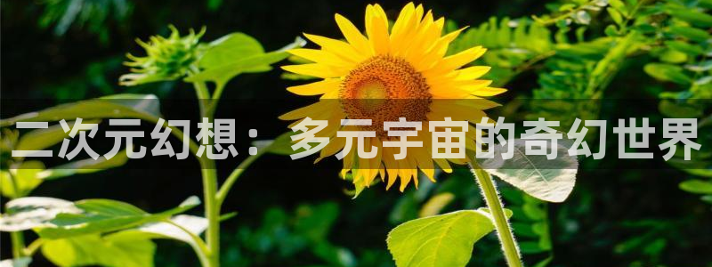 樱花动漫入口安卓：二次元幻想：多元宇宙的奇幻世界