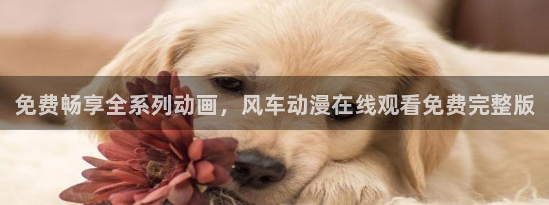 omofun网站入口：免费畅享全系列动画，风车动漫在线观看免费完整版
