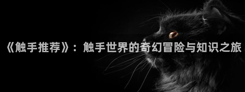 omofun下载官方正版网站