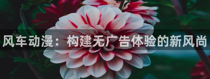 樱花动漫最新版：风车动漫：构建无广告体验的新风尚