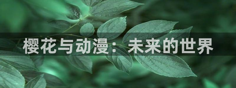 omofun全新版官网入口