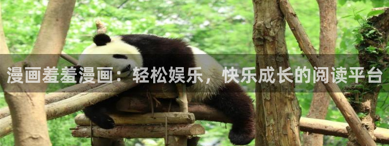 omofun纯净版下载
