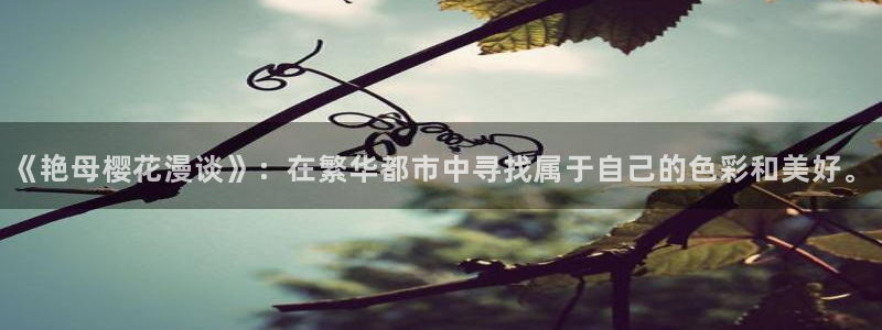 o站(omofun)官网：《艳母樱花漫谈》：在繁华都市中寻找属于自己的色彩和美好。