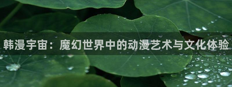 omofun动漫官网下载ios：韩漫宇宙：魔幻世界中的动漫艺术与文化体验