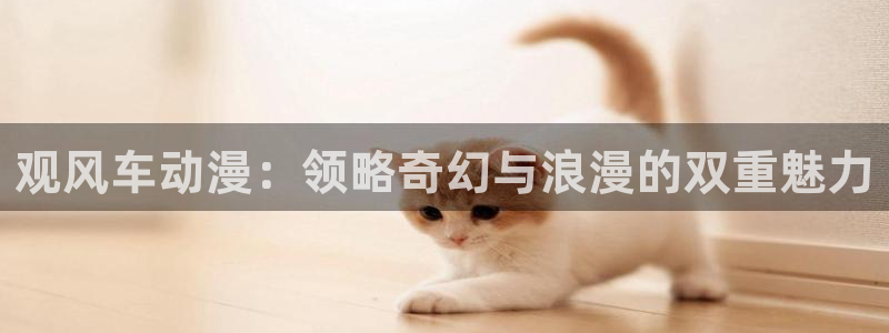 omofun.com：观风车动漫：领略奇幻与浪漫的双重魅力
