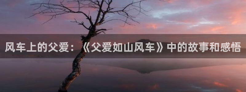 omofun动漫网,omofun弹幕网：风车上的父爱：《父爱如山风车》中的故事和感悟