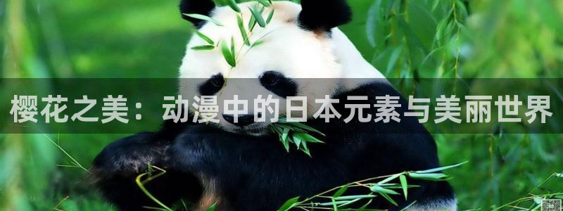 omofun是正经软件吗：樱花之美：动漫中的日本元素与美丽世界