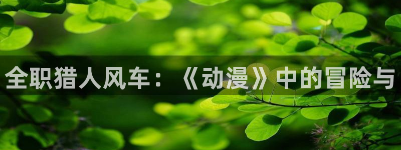 omofun动漫官方下载：全职猎人风车：《动漫》中的冒险与