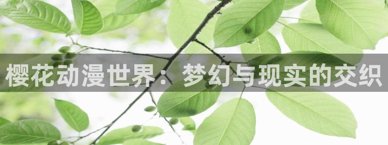 omofun下载的视频在哪：樱花动漫世界：梦幻与现实的交织