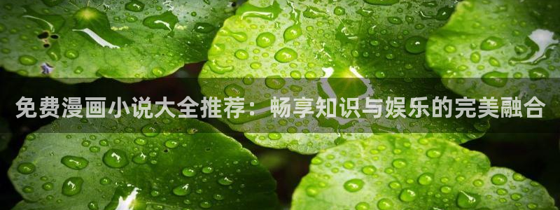 omofun完整版：免费漫画小说大全推荐：畅享知识与娱乐的完美融合
