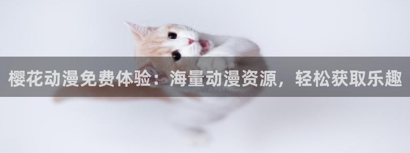 omofun弹幕网