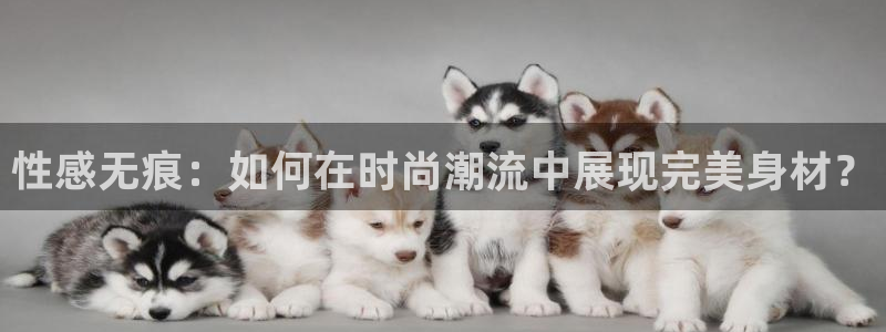 omofun.in：性感无痕：如何在时尚潮流中展现完美身材？