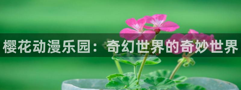 omofun免费下载：樱花动漫乐园：奇幻世界的奇妙世界