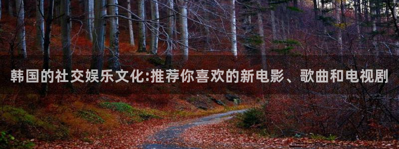omofun网页版登录入口：韩国的社交娱乐文化:推荐你喜欢的新电影、歌曲和电视剧
