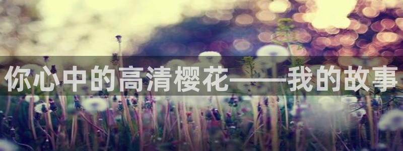 omofun传送门入口：你心中的高清樱花——我的故事
